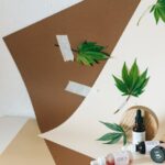 Семена конопли Auto S A D Sweet Afgani Delicious характеристики и преимущества img-1758.jpg