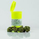 Семена конопли Auto Black Domina feminised от Ganja Seeds img-2506.jpg